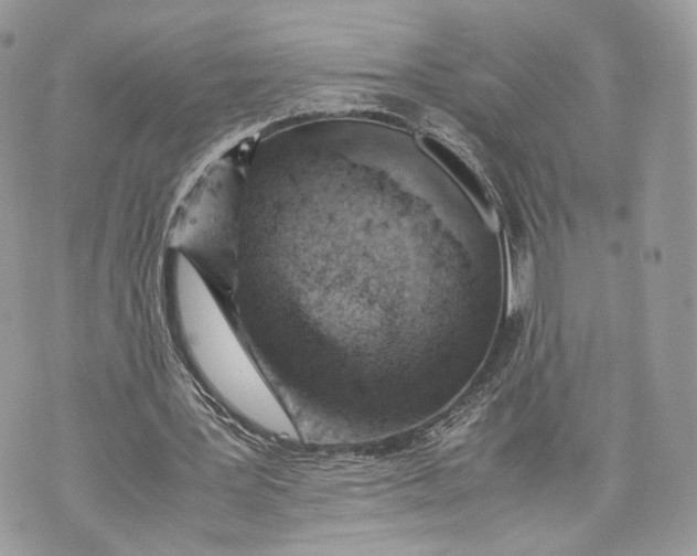 X0000070190387200606161556