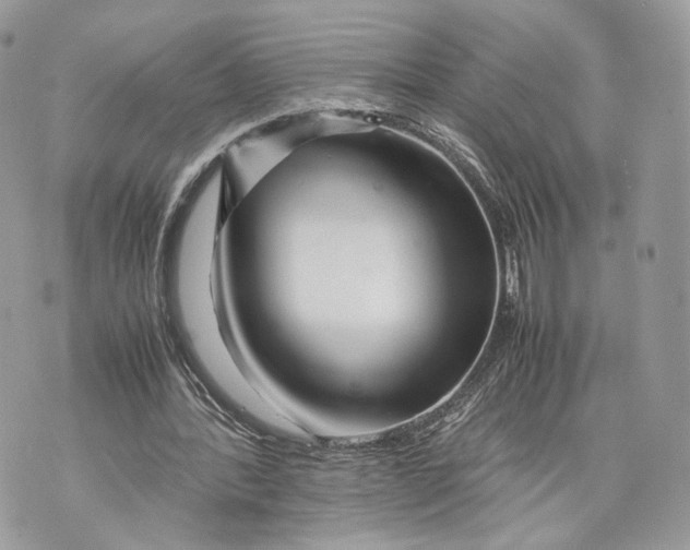 X0000070190388200606161556