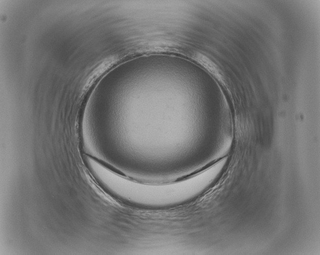 X0000070190389200606161556