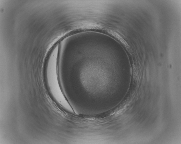 X0000070190391200606161556