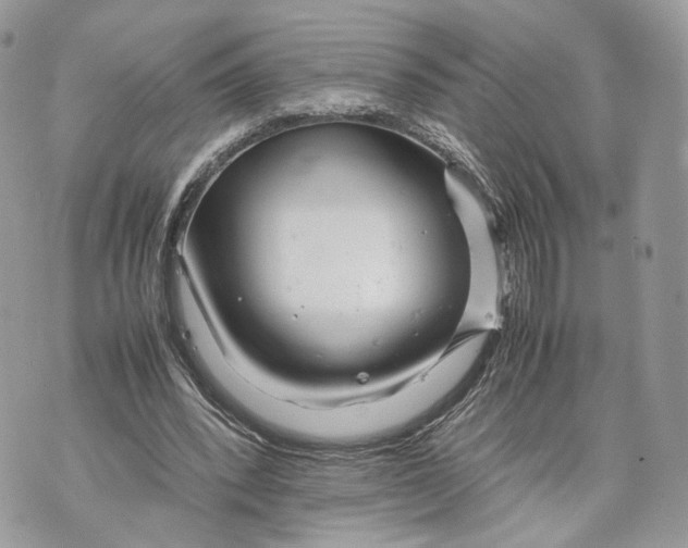 X0000070190392200606161556