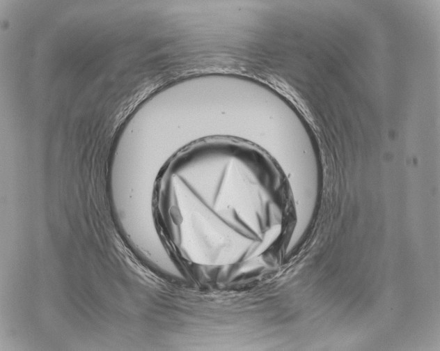 X0000070190393200606161556