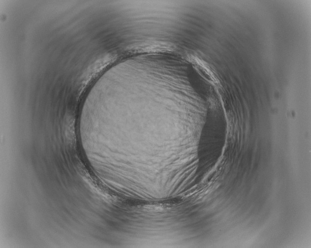 X0000070190394200606161556