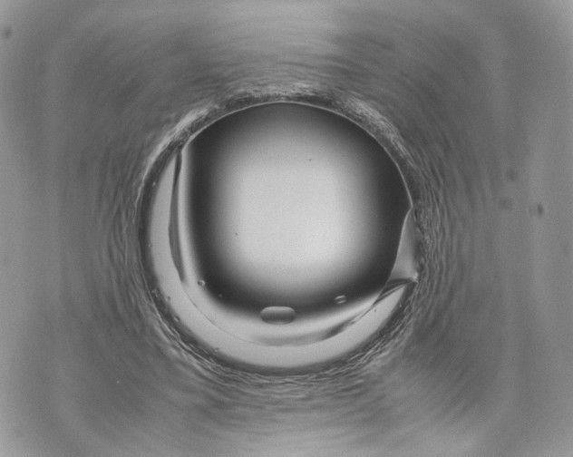 X0000070190395200606161556