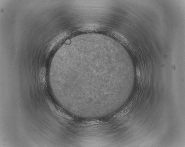 X0000070190396200606161556