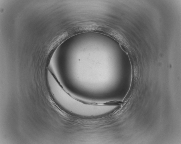 X0000070190397200606161556