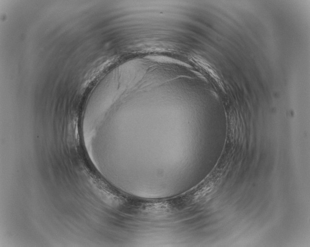 X0000070190398200606161556