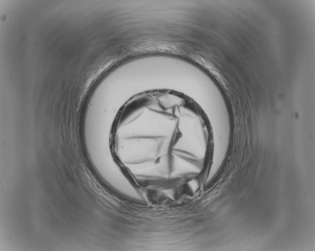 X0000070190399200606161556