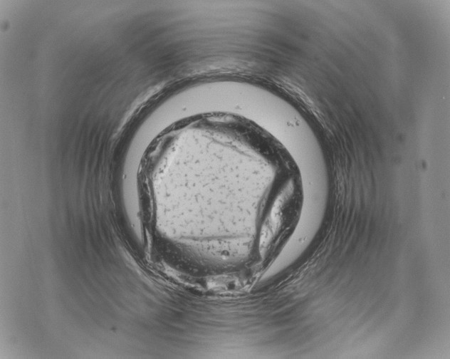 X0000070190400200606161556