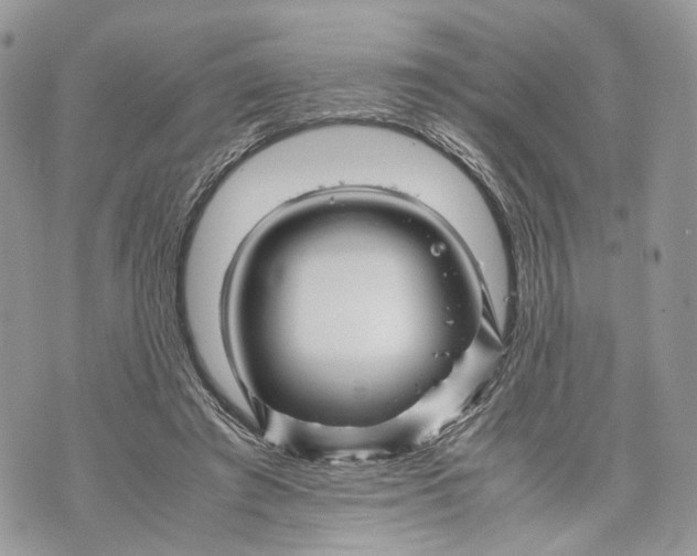 X0000070190401200606161556