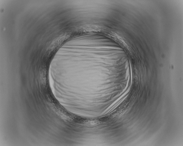 X0000070190402200606161556