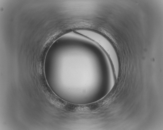 X0000070190403200606161556