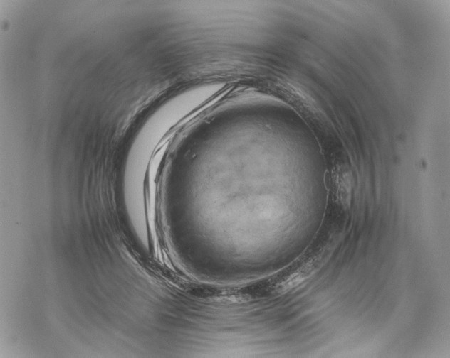 X0000070190404200606161556