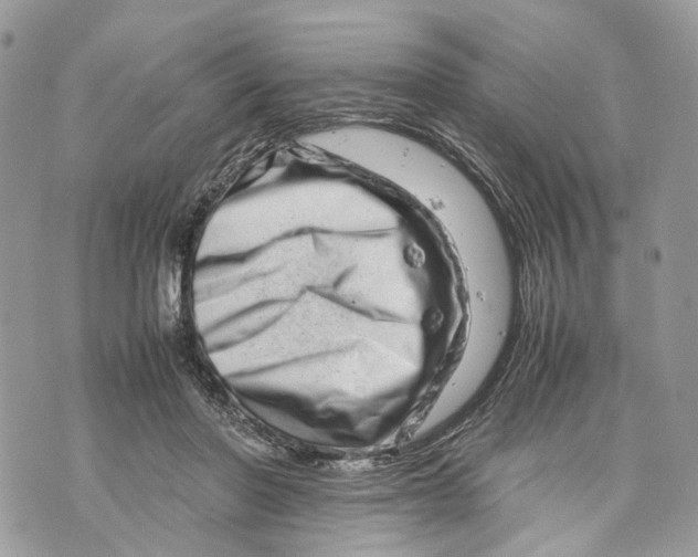 X0000070190406200606161556