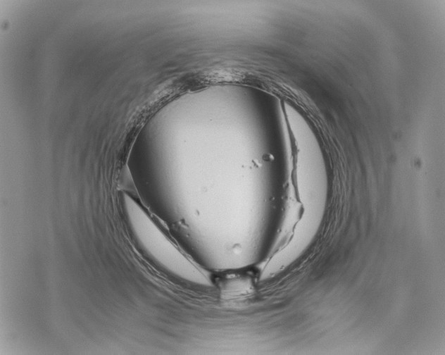 X0000070190409200606161556