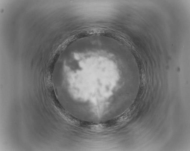 X0000070190411200606161556