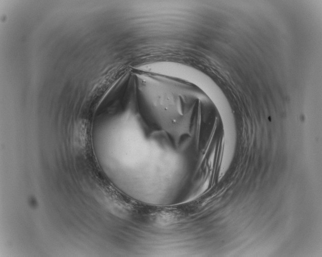 X0000070190412200606161556