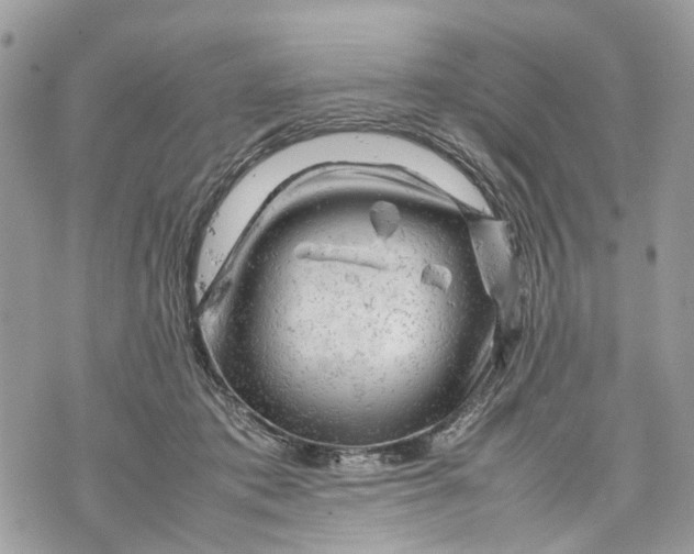 X0000070190413200606161556