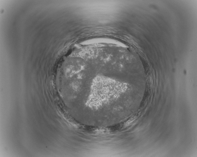 X0000070190415200606161556