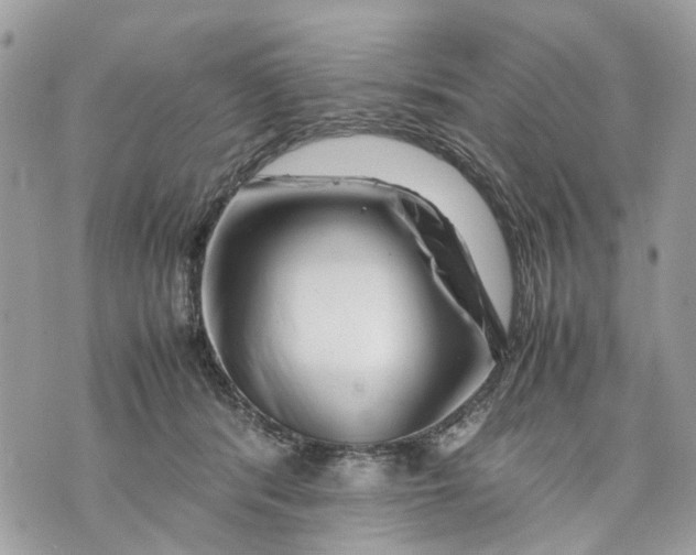 X0000070190416200606161556