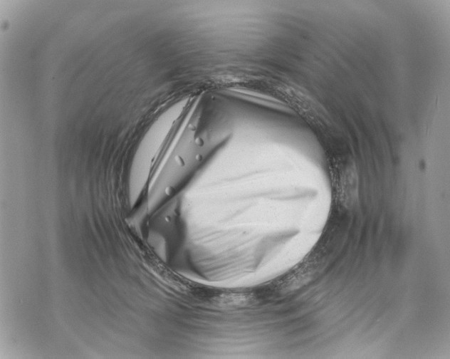 X0000070190418200606161556