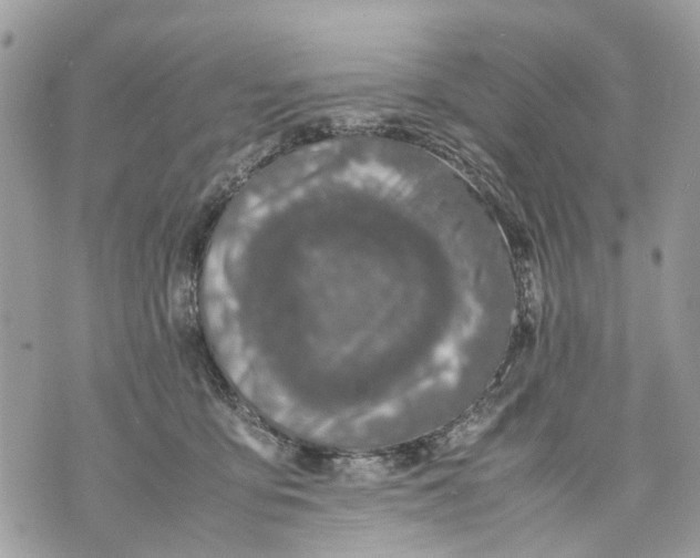 X0000070190419200606161556