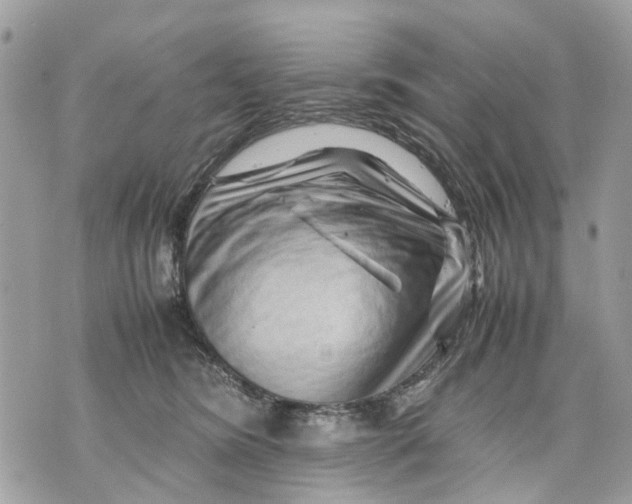 X0000070190420200606161556