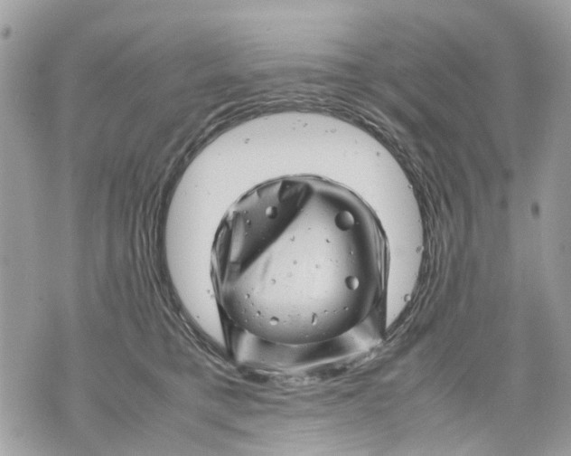 X0000070190421200606161556