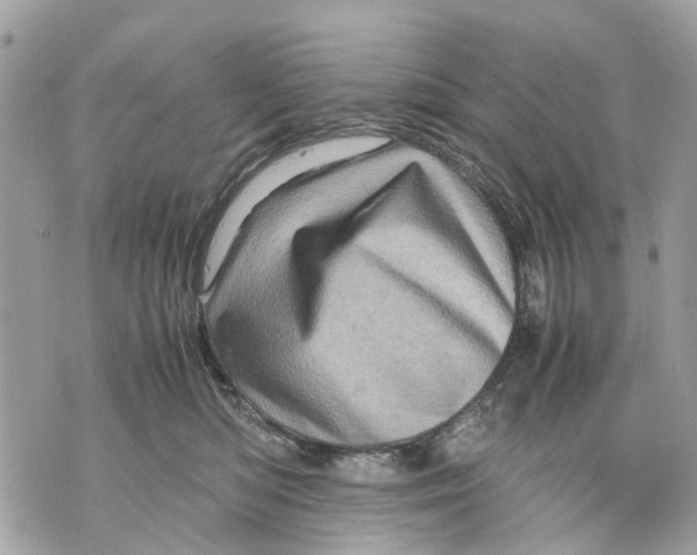 X0000070190422200606161556