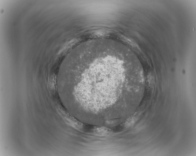 X0000070190423200606161556