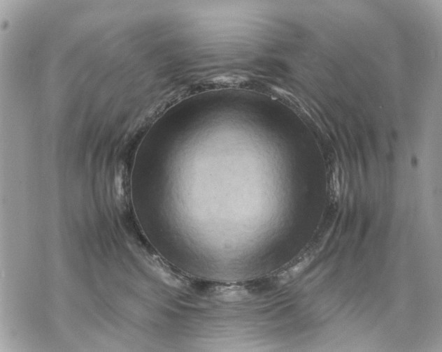 X0000070190424200606161556