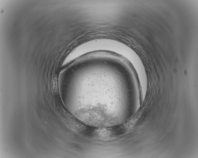 X0000070190425200606161556