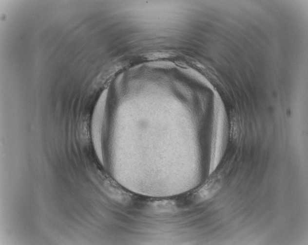 X0000070190426200606161556