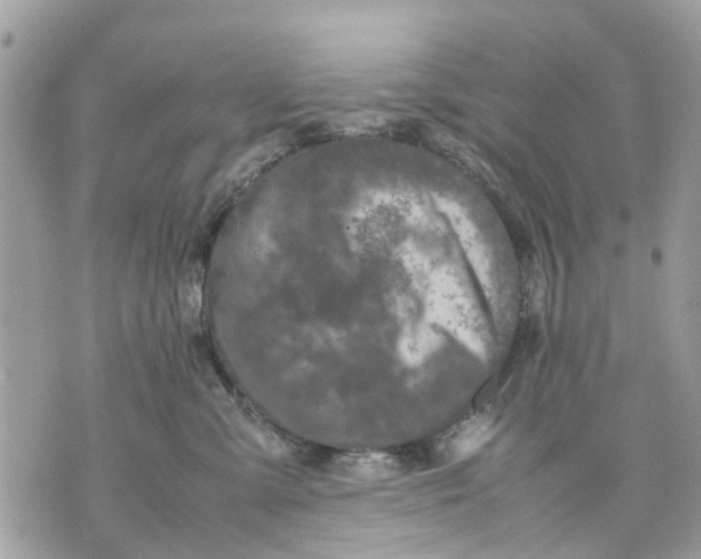 X0000070190427200606161556