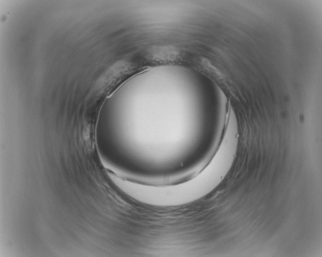 X0000070190428200606161556