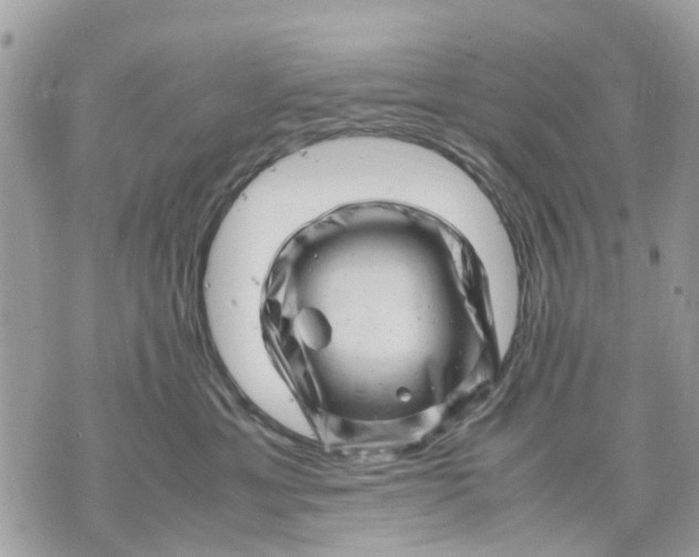 X0000070190429200606161556