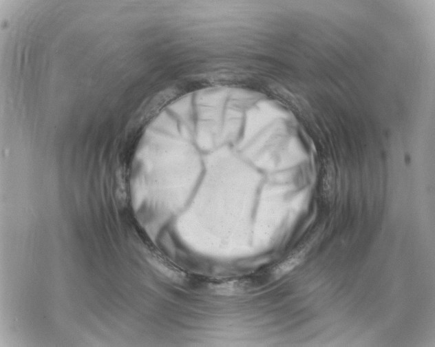 X0000070190430200606161556