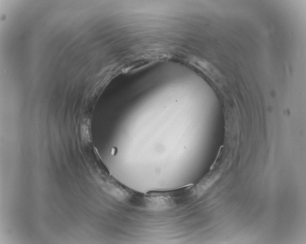 X0000070190432200606161555