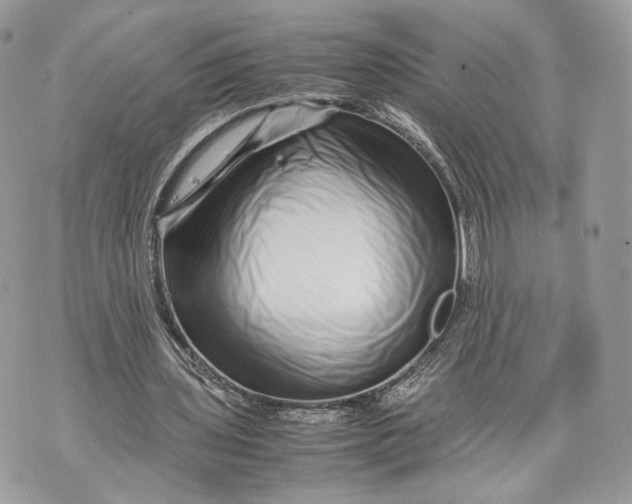 X0000070190435200606161555