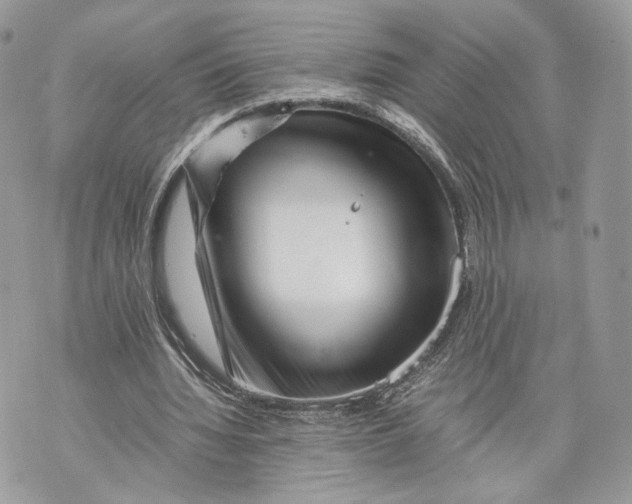 X0000070190436200606161555