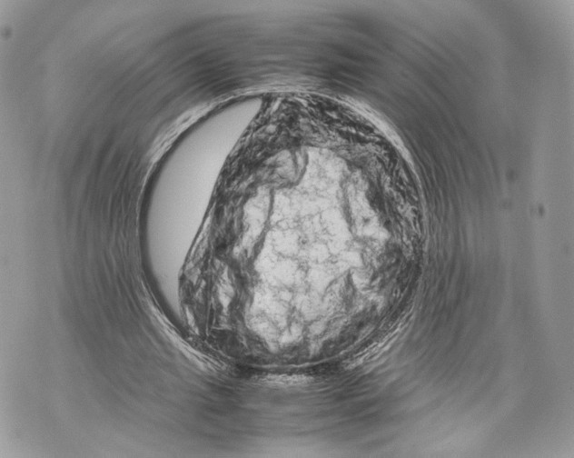 X0000070190437200606161555