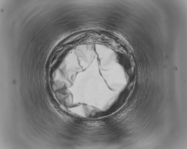 X0000070190439200606161555