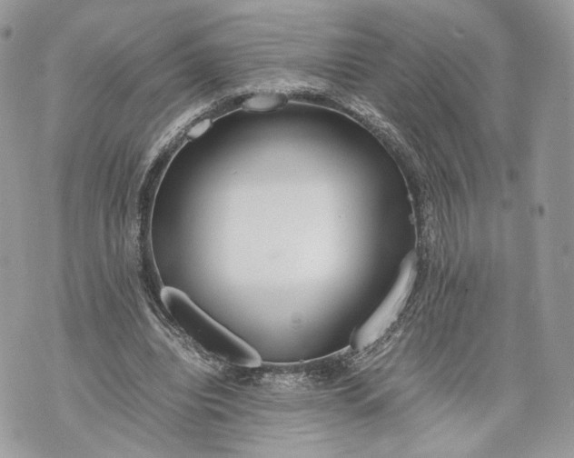 X0000070190440200606161555