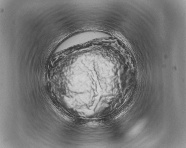 X0000070190441200606161555