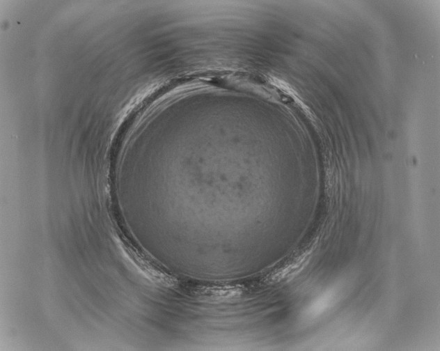 X0000070190443200606161555