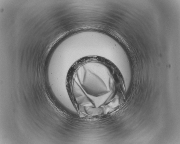 X0000070190444200606161555