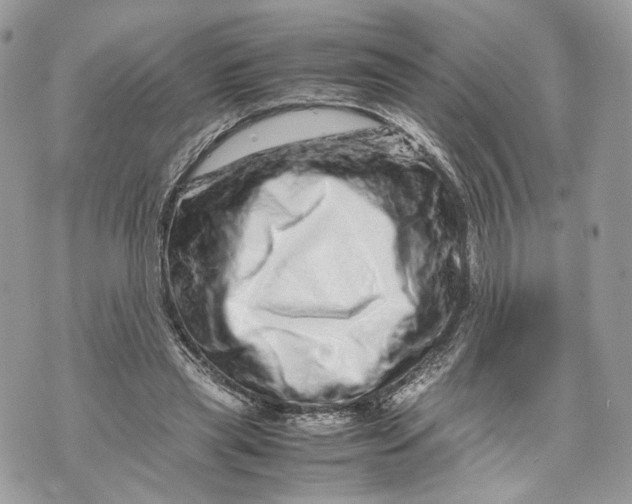 X0000070190445200606161555