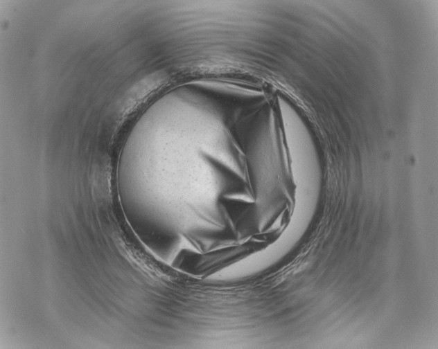 X0000070190446200606161555