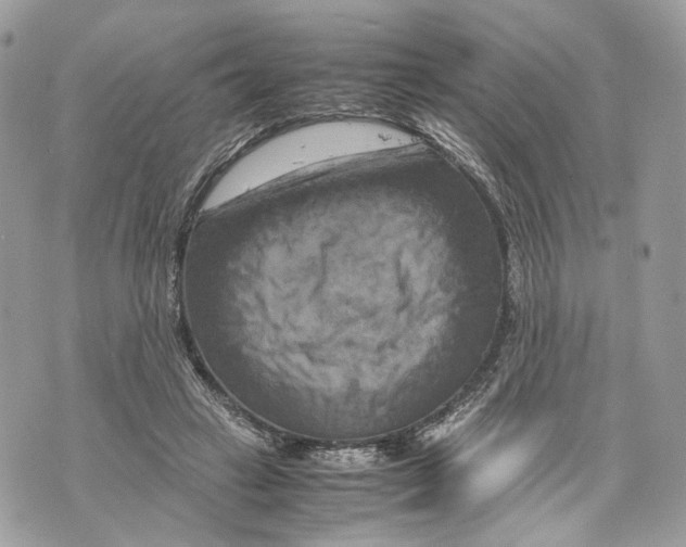 X0000070190449200606161555