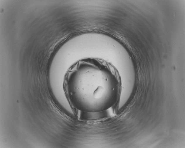 X0000070190450200606161555